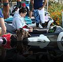 Comen Cup 2009 198